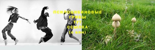 гашик Переславль-Залесский