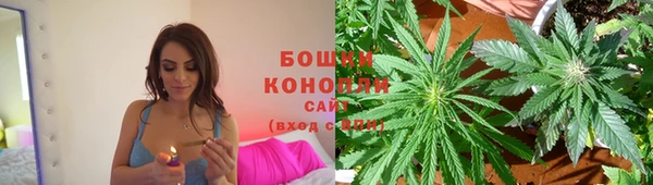 молекула духа Пересвет