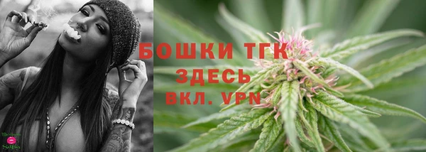 молекула духа Пересвет