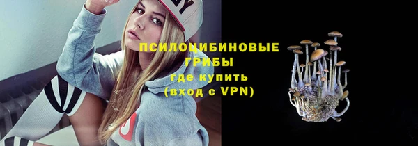 гашик Переславль-Залесский