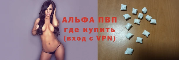 молекула духа Пересвет