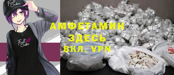 молекула духа Пересвет