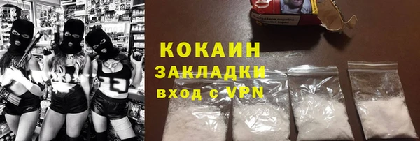 молекула духа Пересвет