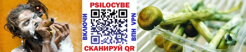 Галлюциногенные грибы GOLDEN TEACHER  Сольцы 
