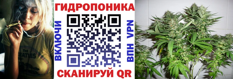 Марихуана семена  Сольцы 